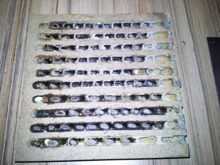 Hotel_einzelne_Platte